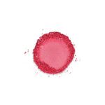 paletabeautystar-12cores-compacta-textura-1-estrela-beauty