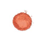 paletabeautystar-12cores-compacta-textura-3-estrela-beauty