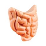 lab-corpo-humano-1000-1000-9