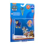 7896027562552-PAW-PATROL-TOPPER-TRIO-CHASE-ROBO-DOG-SKYE--2-.jpg
